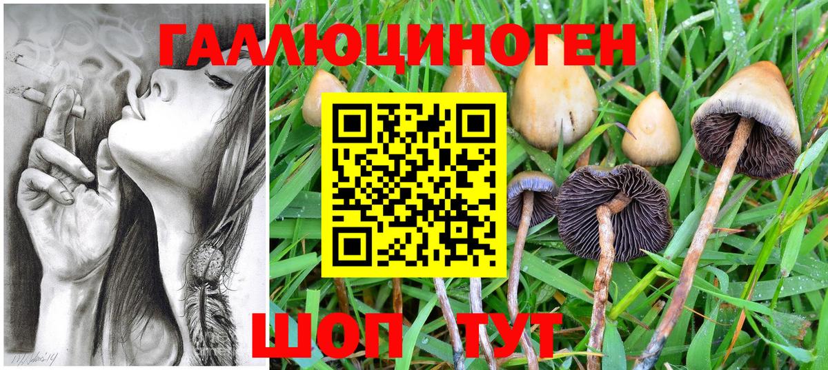 Владикавказ  Псилоцибиновые грибы мухоморы  Вход с VPN 